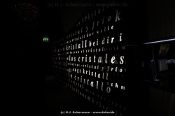 fotografie-97