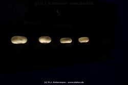 fotografie-26