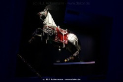 fotografie-182