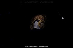 fotografie-4