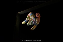 fotografie-201
