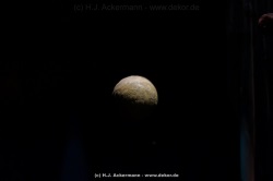 fotografie-42