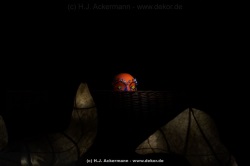 fotografie-143
