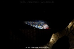 fotografie-137