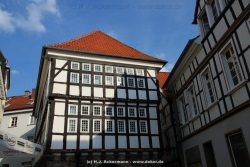fotografie-4