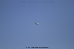 fotografie-6