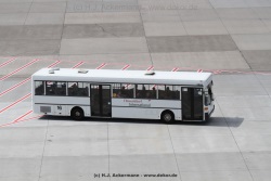 fotografie-82