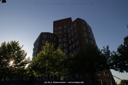 fotografie-30