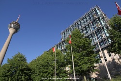 fotografie-26