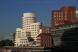 fotografie-71