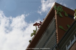fotografie-54