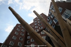 fotografie-124