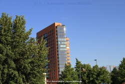 fotografie-49