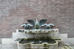 fotografie-74