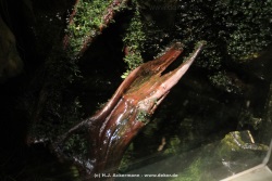 fotografie-20