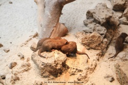 fotografie-5