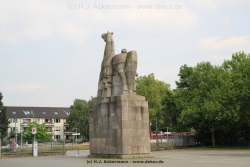 fotografie-72