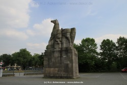 fotografie-21