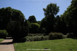 fotografie-40