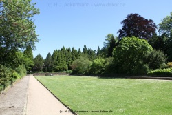 fotografie-41