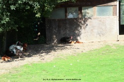 fotografie-60