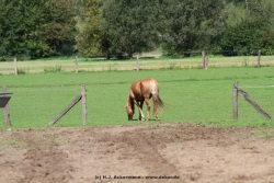 fotografie-63