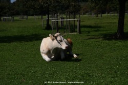 fotografie-107