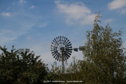 fotografie-51