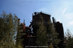 fotografie-184