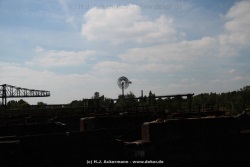 fotografie-14