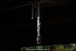 fotografie-30