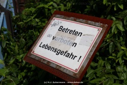 fotografie-190
