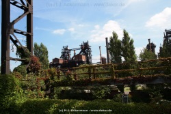 fotografie-162