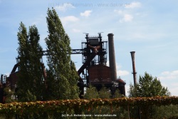 fotografie-66