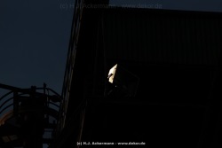fotografie-93