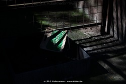 fotografie-19