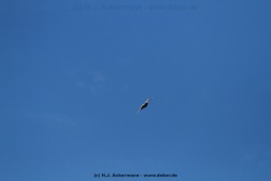 fotografie-11