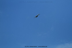 fotografie-12