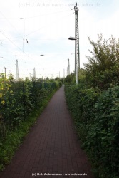 fotografie-36