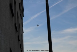 fotografie-112