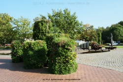 fotografie-149