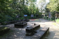 fotografie-36