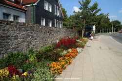 fotografie-37