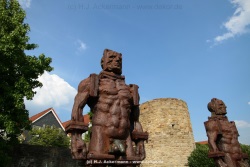 fotografie-42