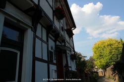 fotografie-7