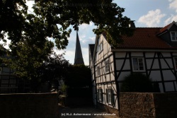 fotografie-153