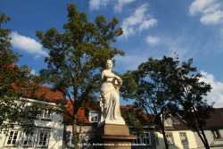 fotografie-23
