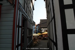 fotografie-68