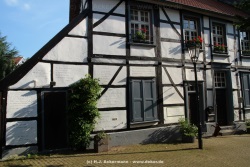 fotografie-90