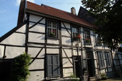 fotografie-16